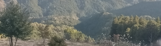 おとくなショップ